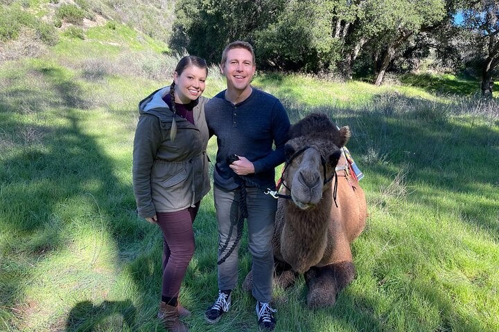 3 Hour Camel Trek into the Forest and Ranch in California - Photo 1 of 6